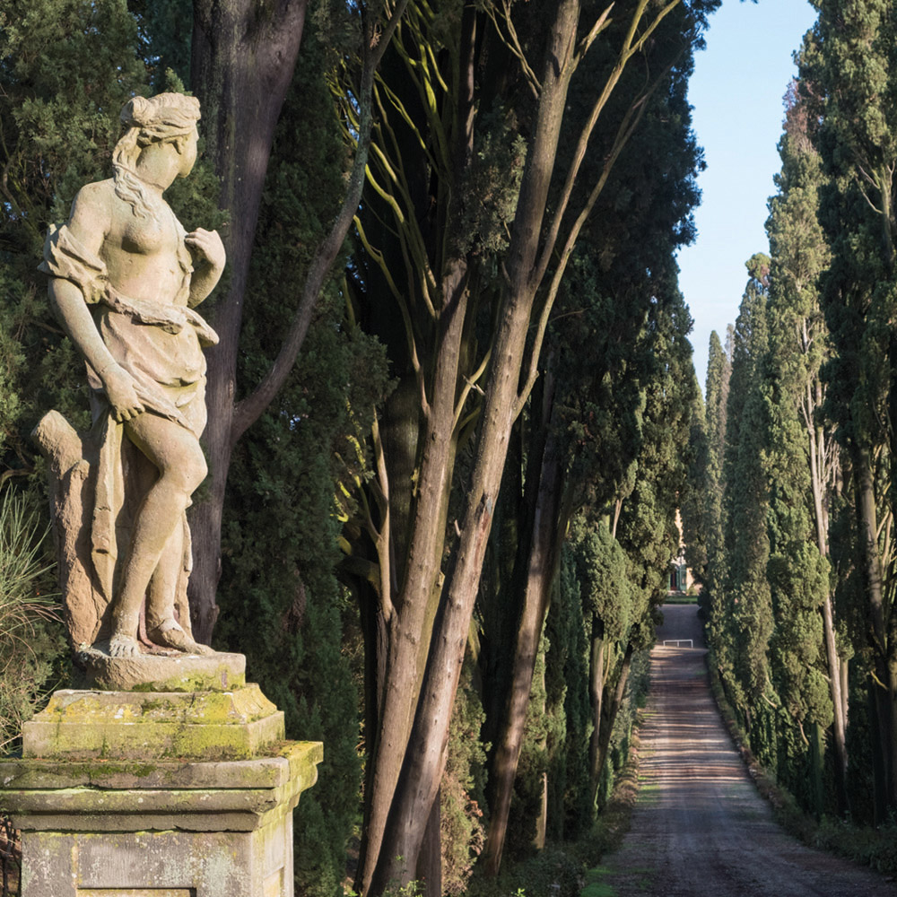 POGGIO TORSELLI S.R.L. SOCIETÀ AGRICOLA — foto 3