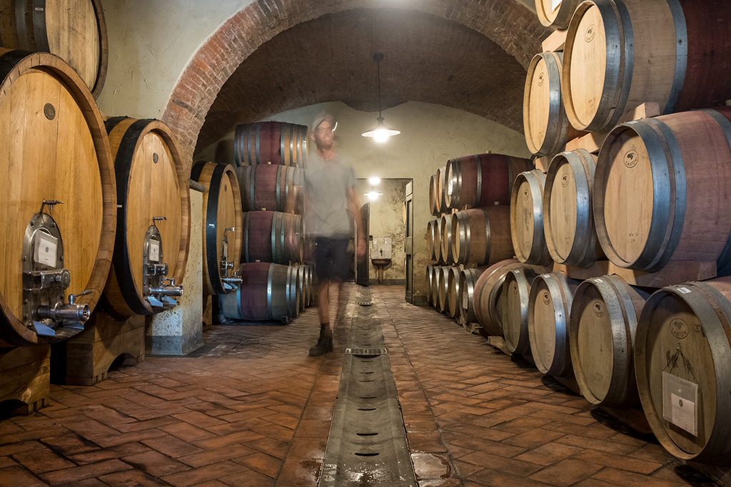 POGGIO TORSELLI S.R.L. SOCIETÀ AGRICOLA — foto 4